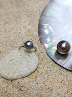 THE TWO GLEAMS OF A PEARL
